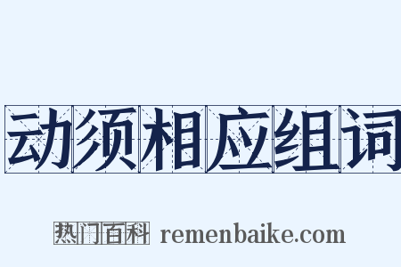 动须相应组词是什么意思的图片
